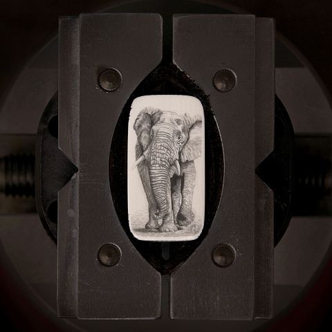 Новая, маленькая работа cкримшоу
Бивень слона, 33х17х2,5 мм
2017