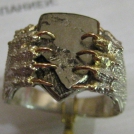 альбом voronov