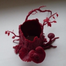 Новый альбом