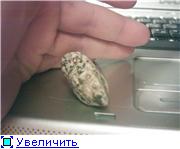 Рисунок