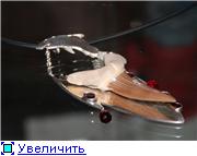 Рисунок
