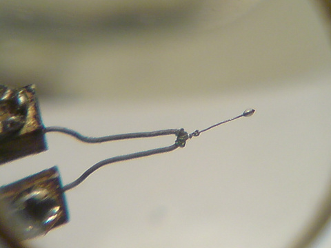 <Без названия>