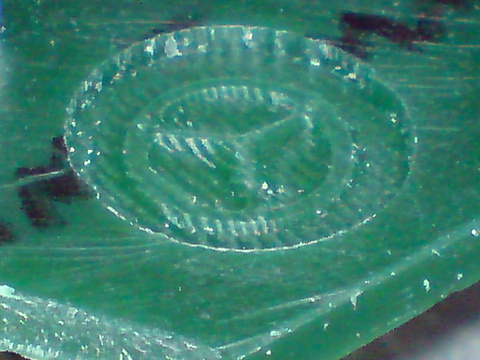 DSC07116.JPG