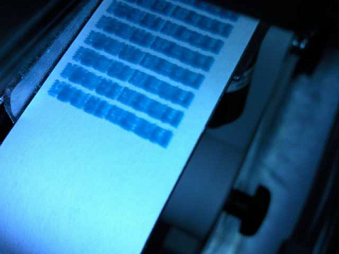 <Без названия>