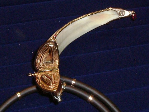 кабаний клык