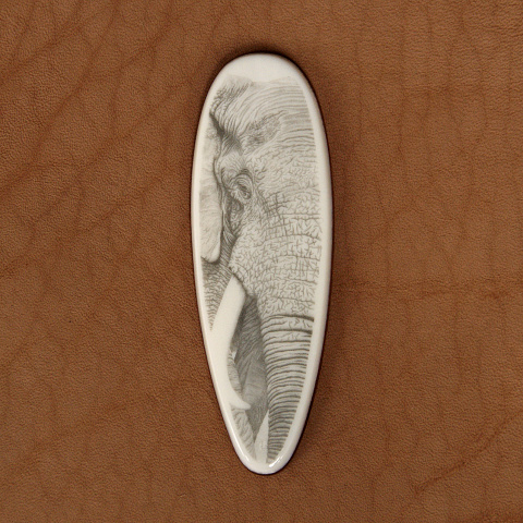 Вставка, возможно в ножны. Клык моржа, 76х25мм. Скримшоу. 2017
#scrimshaw #скримшоу