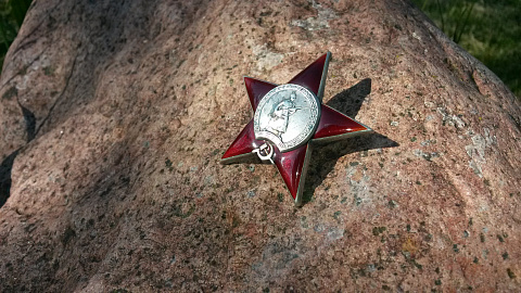 <Без названия>