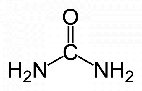 800px-Urea.png