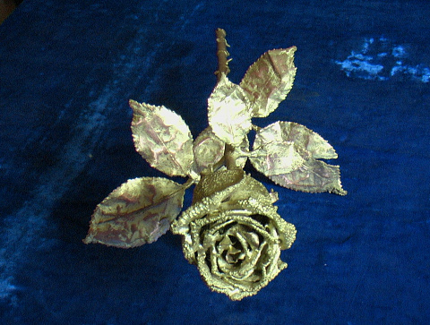 Роза