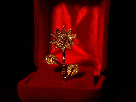 кольцо на два пальца