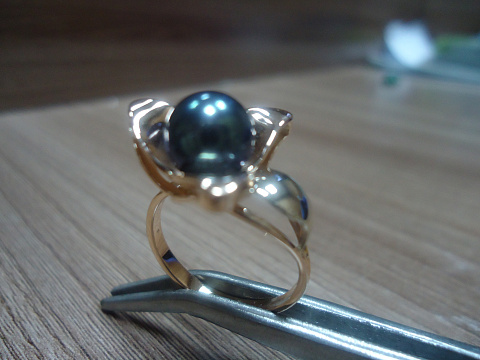 <Без названия>