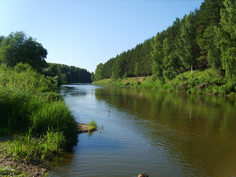 S8003691.JPG