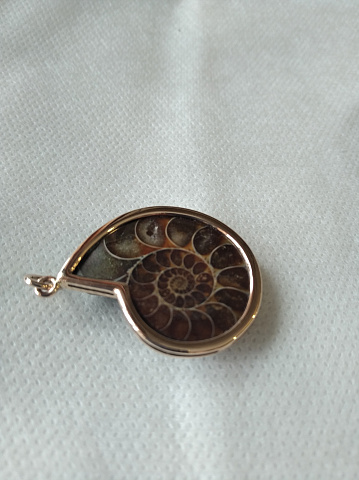 <Без названия>