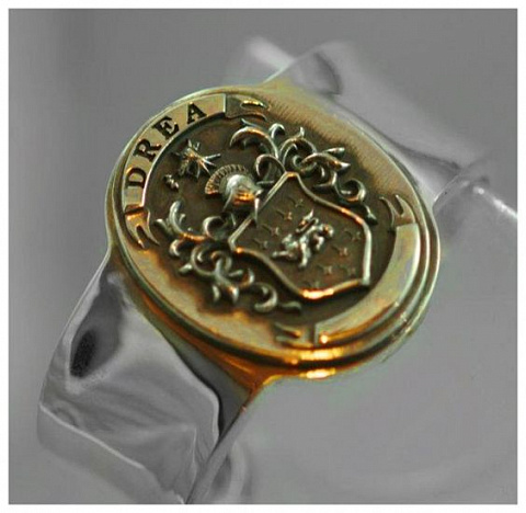 Gold and silver family crest bracelet