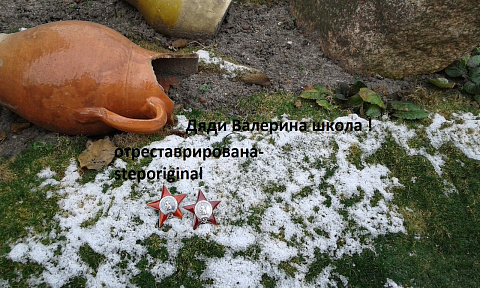 я люблю свою работу 