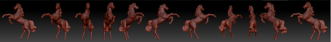horse_obl_2_web.png