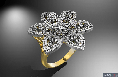 Ring