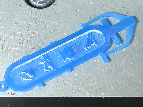 DSC07870.JPG