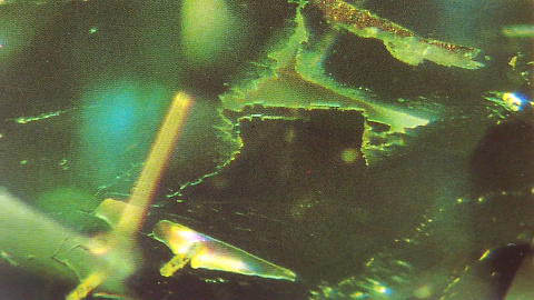 FILE0149.MOV_snapshot _00.01.jpg