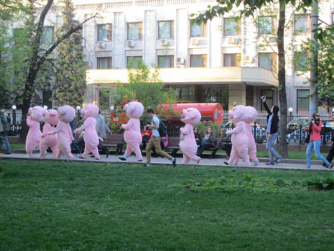 <Без названия>