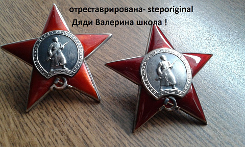 я люблю свою работу 