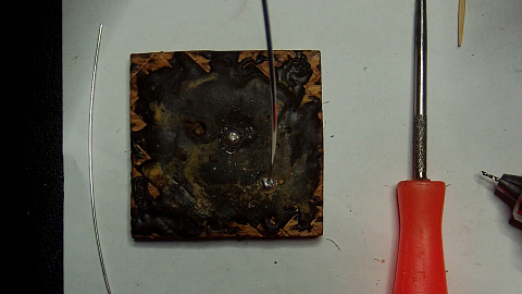 Гвоздики цельные шарики_00.01.jpg